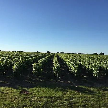 Les Lodges De Loire Saint-Lambert-du-Lattay